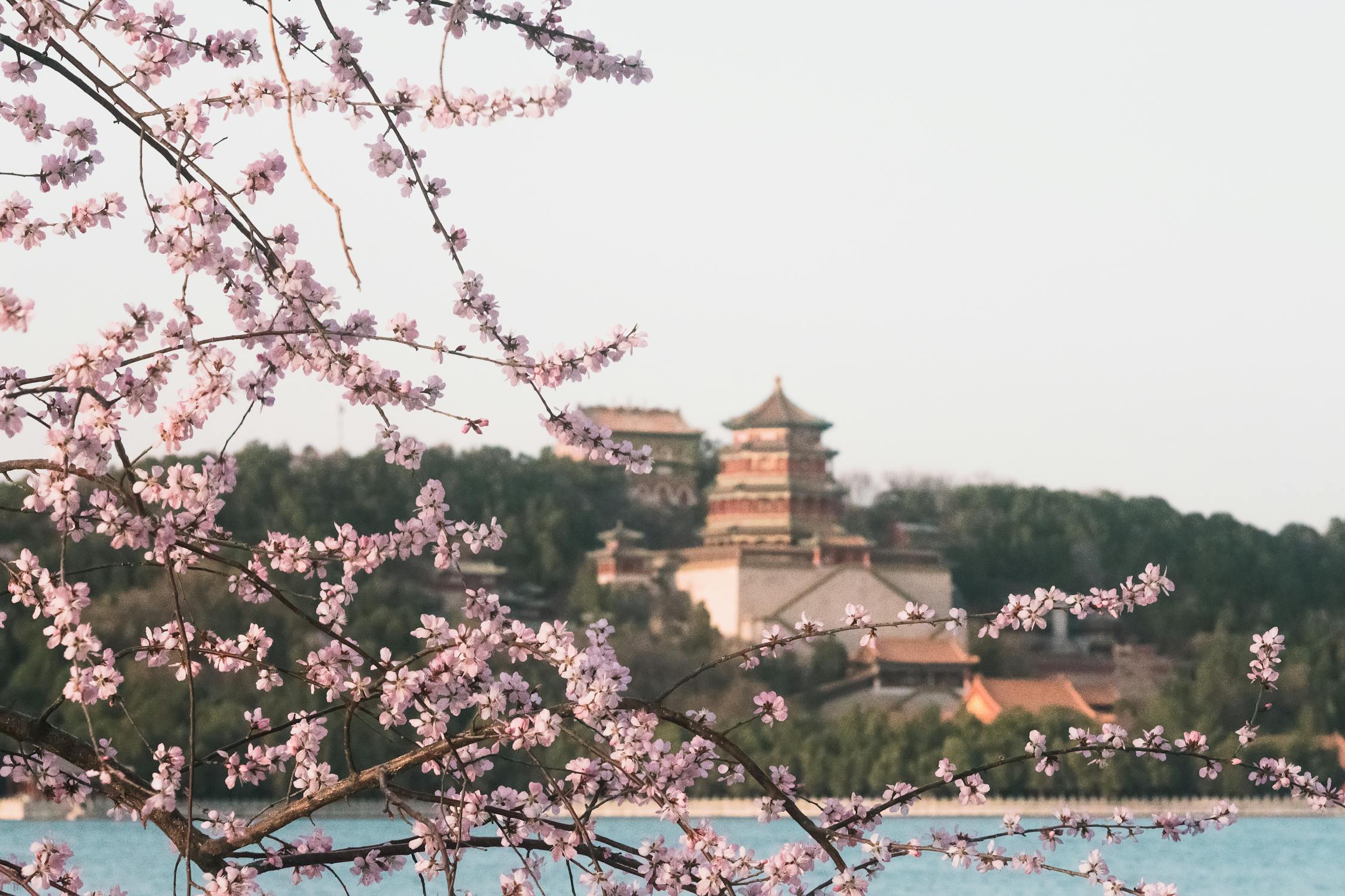 pexels-photo-15937142